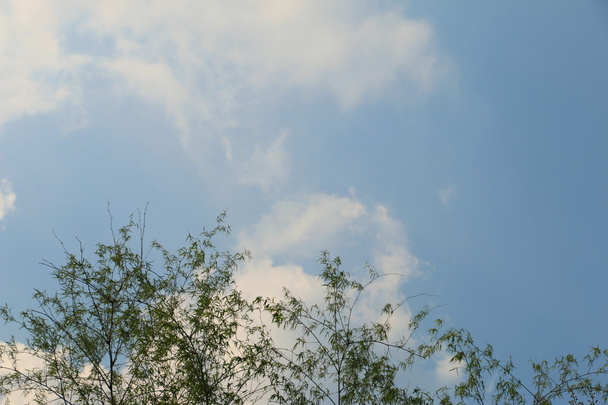 wolken en blauwe lucht - Foto, afbeelding