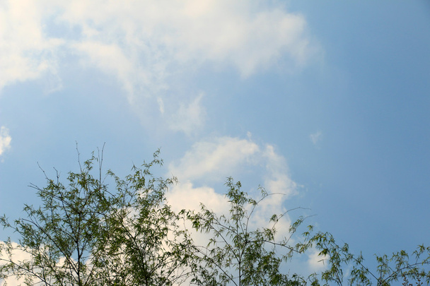 облачность и голубое небо - Фото, изображение