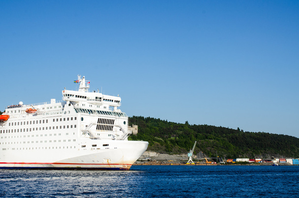 επιβατικό πλοίο αφήνοντας Όσλο - Φωτογραφία, εικόνα