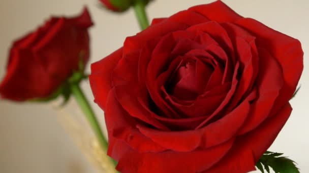 Μπουκέτο με κόκκινα τριαντάφυλλα - Πλάνα, βίντεο