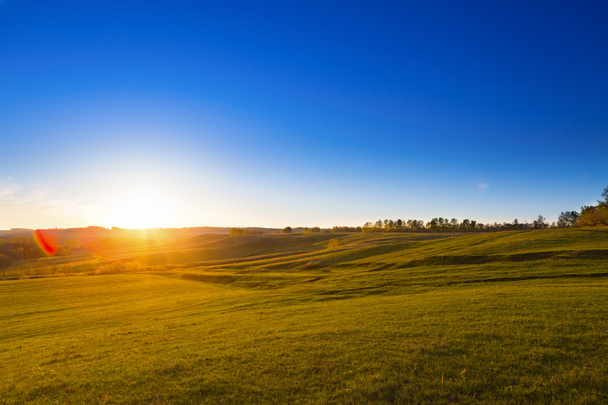 жовте поле і красивий захід сонця
 - Фото, зображення
