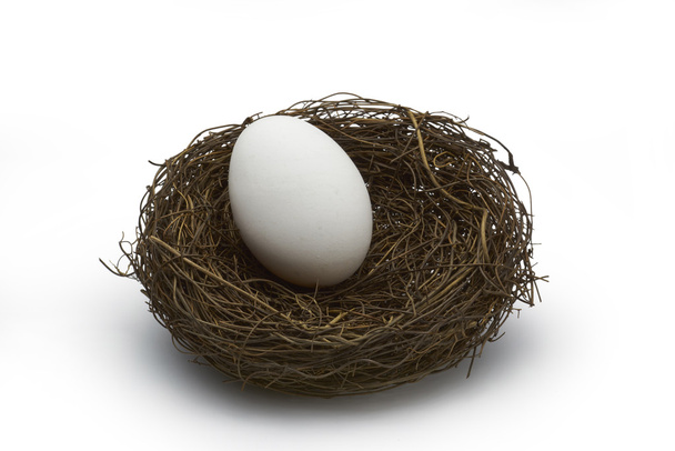 Nest mit Ei auf weißem Hintergrund, Schneideweg. - Foto, Bild