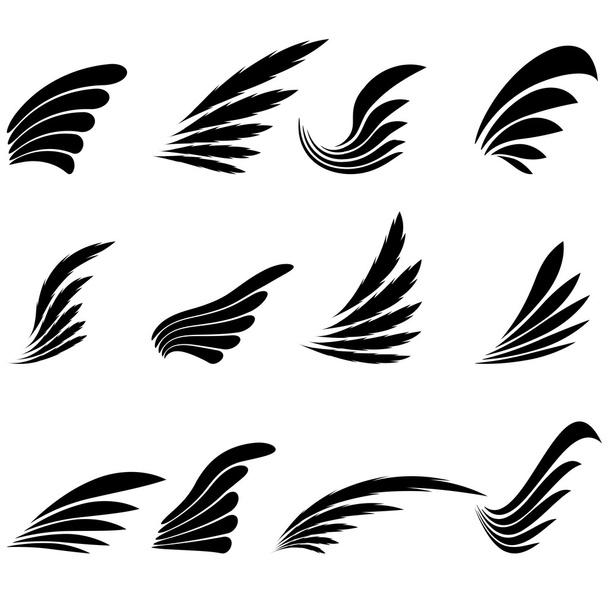 Set of Wings Icons Isolated on White Background - Vector, Image