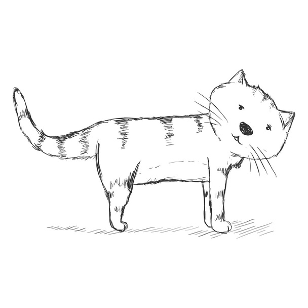 Funny Cat Sketch - Vector, Image