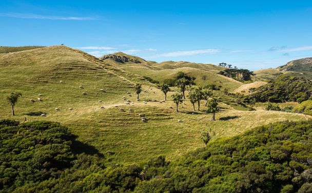Mountain landscape in New Zealand - Foto, afbeelding