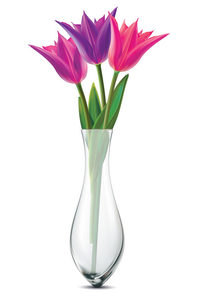 Bouquet of tulips in a glass vase on a white. Vector illustratio - Vector, Image