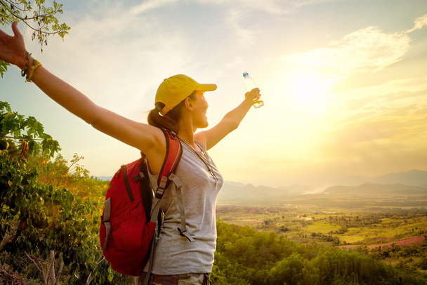 Traveler with backpacker enjoying valley view with raised hands. - Photo, Image