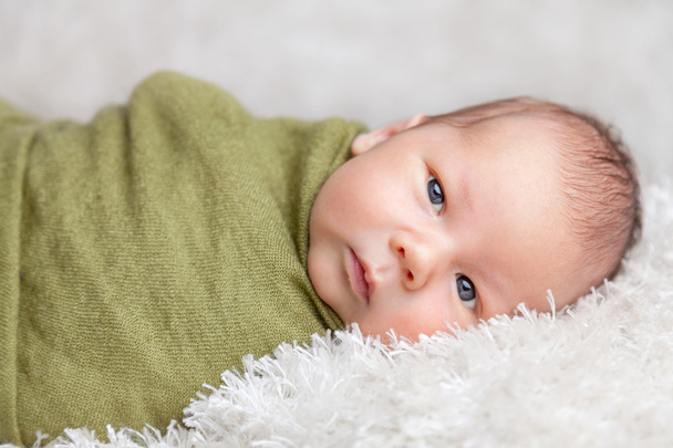 Прекрасный новорожденный, завернутый в одеяло
 - Фото, изображение