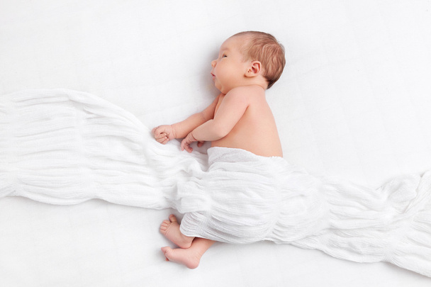 Милый новорожденный ребенок под одеялом
 - Фото, изображение