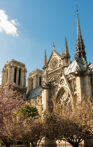 De katholieke kathedraal van de Notre Dame. - Foto, afbeelding