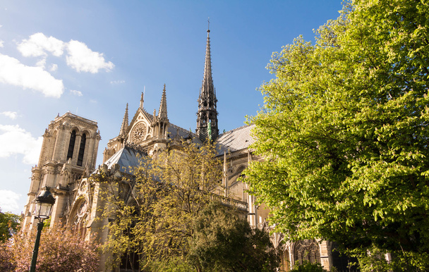 La catedral católica de Notre Dame
. - Foto, imagen