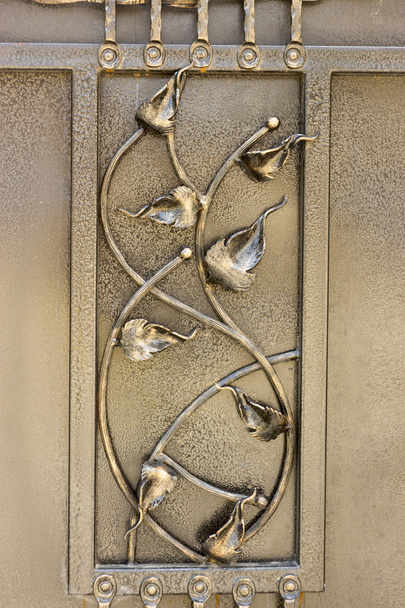 ornamentos de hierro forjado para puertas y valla
 - Foto, imagen
