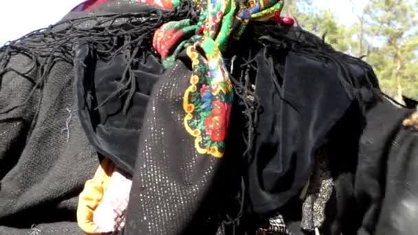 Μάσκα προσώπου του κοστούμι Baba Yaga. Δράση στο δάσος. - Πλάνα, βίντεο