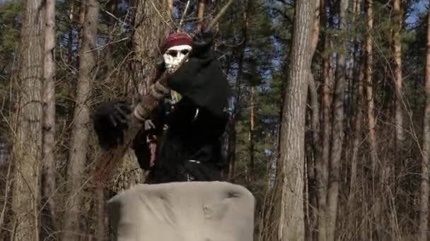 Εμφάνιση του Baba Yaga σε το Forest.trick με τη σκούπα. - Πλάνα, βίντεο