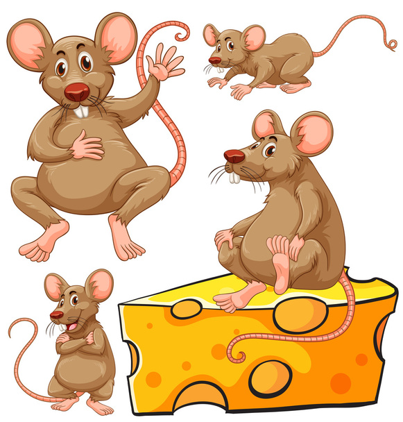 Ratón marrón y rodaja de queso
 - Vector, Imagen