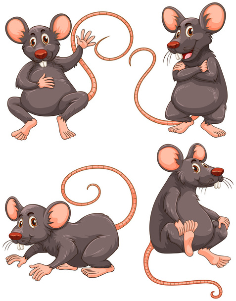 Mouse with gray fur in four actions - Vector, Image
