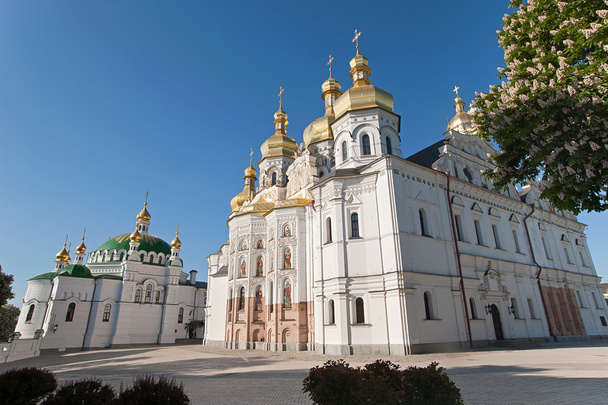 Kwitnący kasztan. Katedra w Kiev-Pechersk Lavra. Kijowa. U - Zdjęcie, obraz