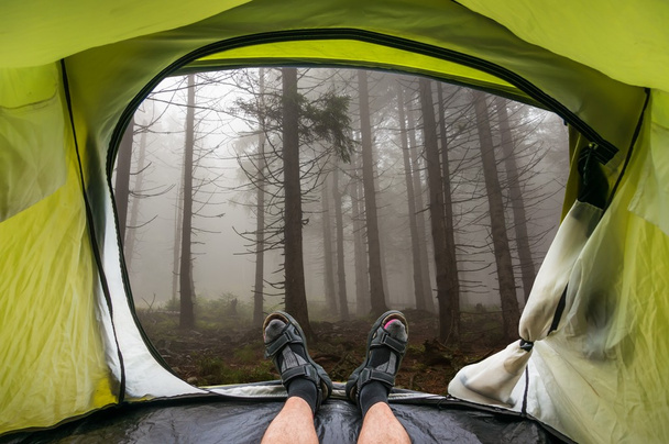 Blick aus dem Inneren eines Zeltes auf einen Nebel im Spukwald - Foto, Bild