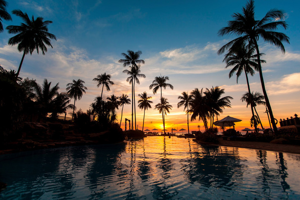 Hermosa puesta de sol con palmeras
  - Foto, Imagen