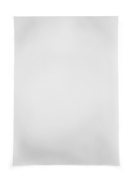 feuille isolée sur fond blanc
 - Photo, image
