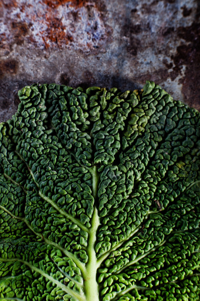 Cabbage leaf on metal  - Фото, изображение