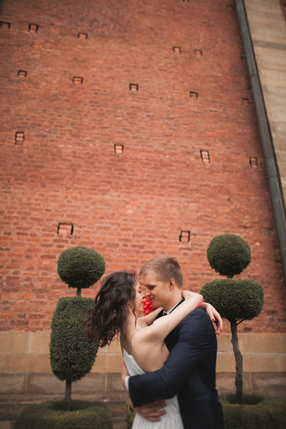 Happy wedding couple hugging and smiling in park with decorative bushes - Foto, Imagen