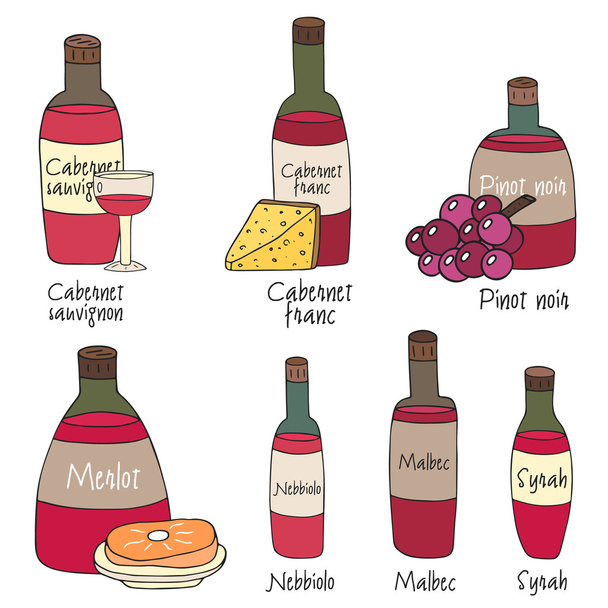 Lindas botellas de vino garabato dibujado a mano
  - Vector, imagen