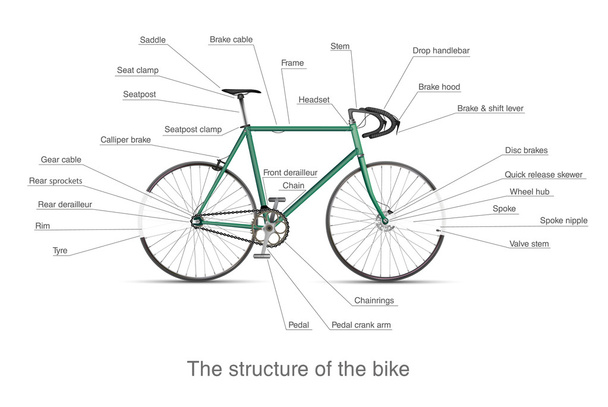Structure of multi-speed bike - Vetor, Imagem