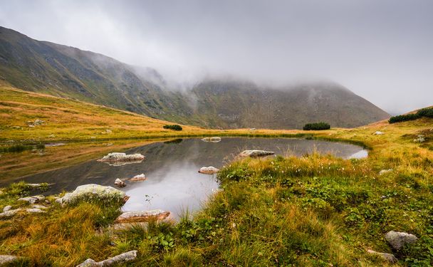 Small Tarn with Rocks in Foggy Mountains - 写真・画像