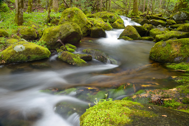 White water stream swirls around moss covered rocks in The Smokies. - Photo, Image