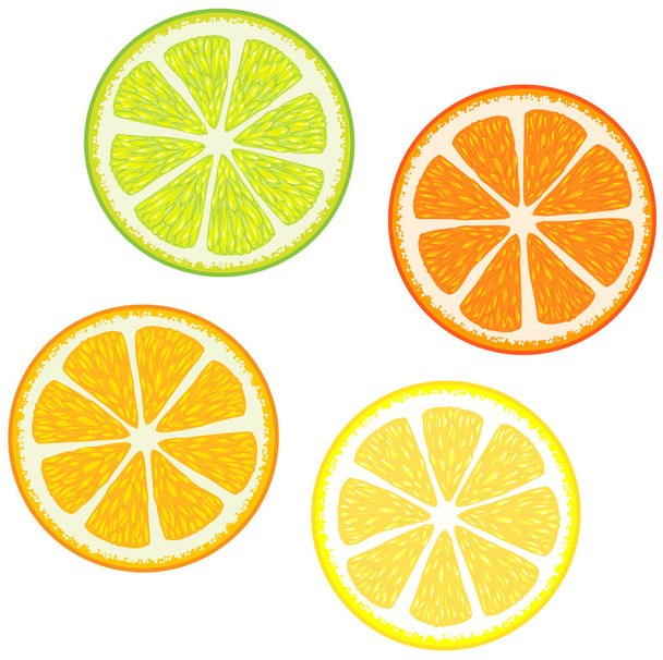 Slices of citrus fruits - Foto, Bild