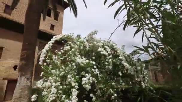Granada, Andalusië, Spanje - 17 April 2016: Alhambra, planten, bomen, historische gebouwen, tuinen, structuur  - Video