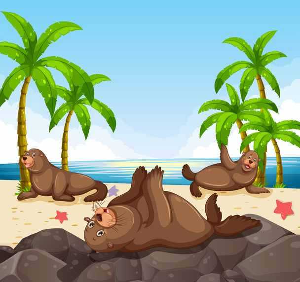 Тюлени развлекаются на пляже
 - Вектор,изображение