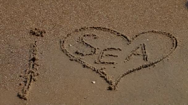 sea, shore, summer, vacation, love - Footage, Video