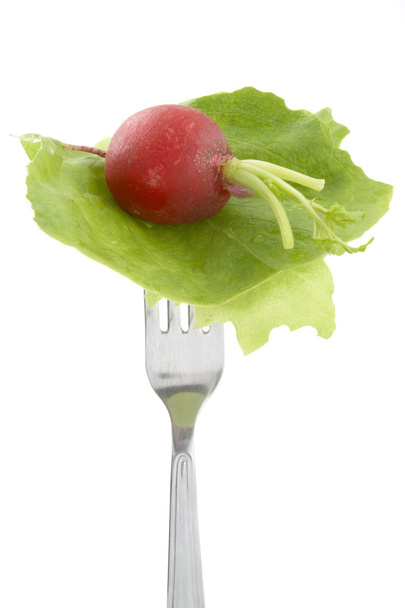 Salad closeup 3 - Фото, изображение