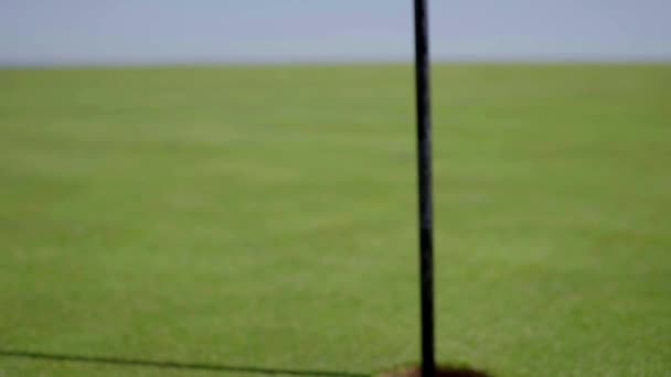 Terrain de golf vert - Séquence, vidéo