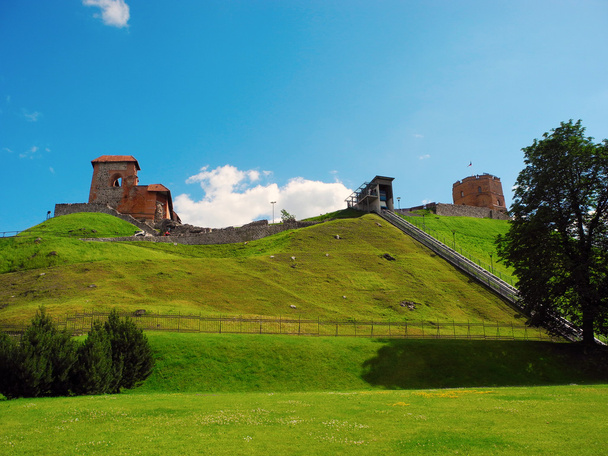 Torre del Castillo de Gediminas Cerro de Vilna
. - Foto, imagen