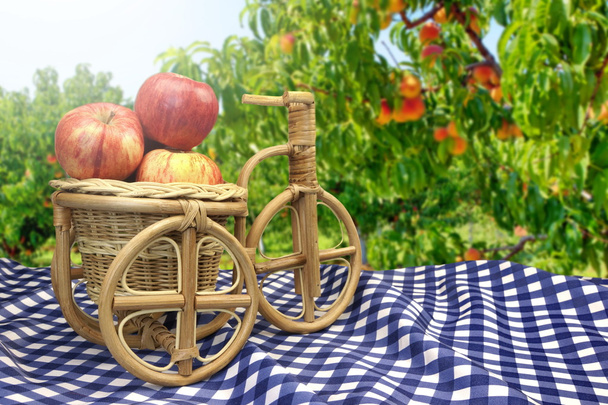 Panier de vélo en osier avec des pommes sur la table avec nappe bleue
 - Photo, image