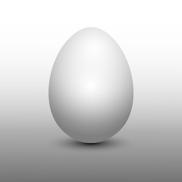 White egg. Vector illustration. - Vector, Image