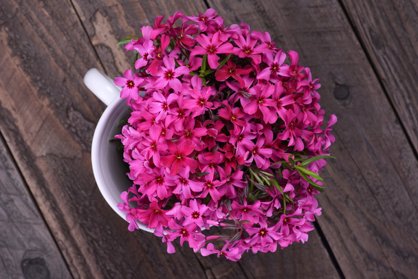 木の板のピンクの春の花の花束 - 写真・画像