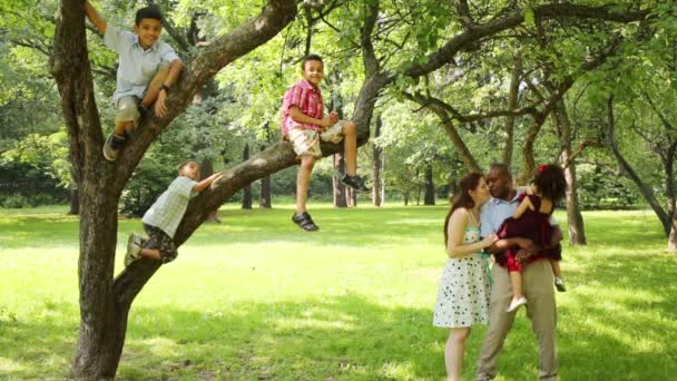 family in the park, sons climb trees, parents holding daughter - Filmmaterial, Video