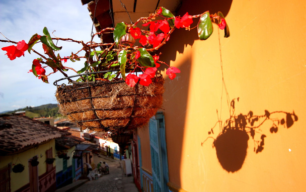 花の植木鉢、村 guatape、コロンビア. - 写真・画像