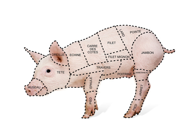 Cartel gráfico de corte de cerdo en francés
 - Foto, Imagen
