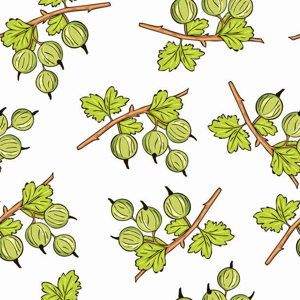 Gooseberry Currant seamless pattern. Collection of berries. - Вектор,изображение