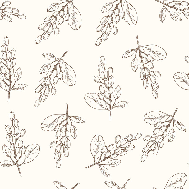 Barberry Seamless Pattern. Collection of berries. - Vektor, Bild