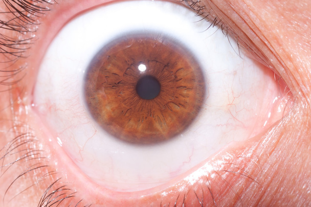 Close up on the iris of the eye - Valokuva, kuva