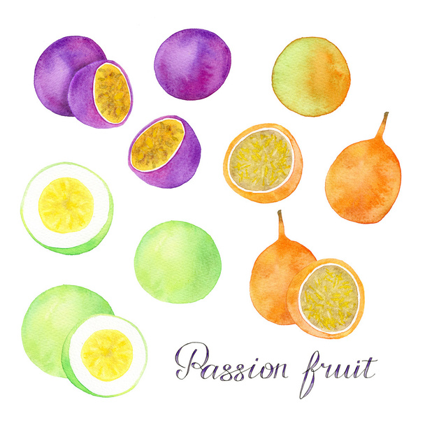 Passion fruit, granadilla or maracuya set. Hand drawn fruits - colorful different maracuyas. Real watercolor drawing. - 写真・画像