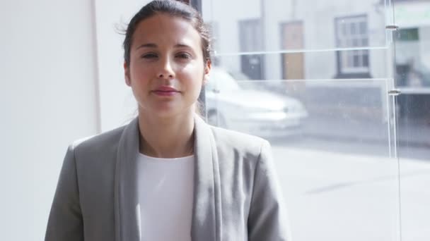 successful business woman in modern office - Video, Çekim