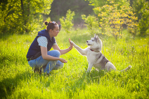 Young beautiful girl playing with husky - Foto, Imagem
