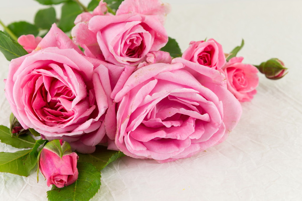 Rosas cor-de-rosa sobre têxteis de seda branca
 - Foto, Imagem